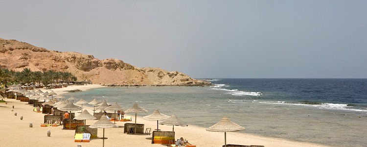 Marsa Alam Dive Abou 84